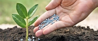 quality Food And Feed Additives factory