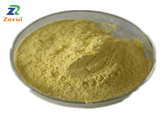 Good price Sophora Japonica Extract/ Quercetin Powder Bulk For Cough Suppressant Expectorant CAS 117-39-5 online