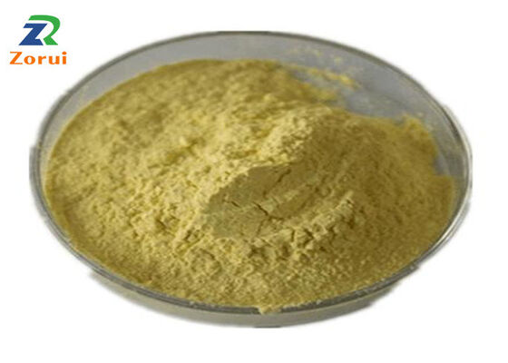 Good price Sophora Japonica Extract/ Quercetin Powder For Cough Suppressant & Expectorant CAS 117-39-5 online