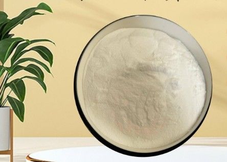 Good price CAS 90-80-2 E575 Glucono-Delta-Lactone GDL Powder For Bakery Dairy Meat Industry online