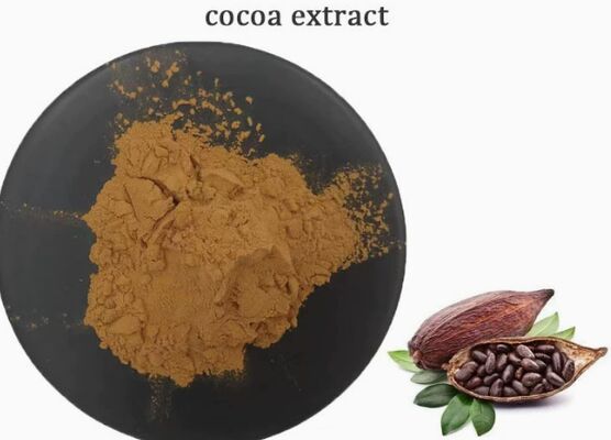 Good price CAS 84649-99-0 Theobroma Cacao Extract For Food And Beverage Cocoa Extract online