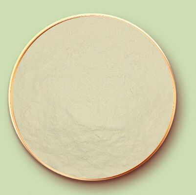 Good price CAS 9010-66-6 Zein Powder Maize Protein For Confectionery And Tablet Coatings online