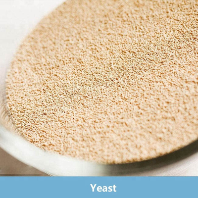 Good price Low Sugar Instant Dry Yeast 500g Vacuum Packing For Bread Yeast online