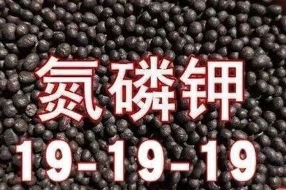 Good price Compound Fertilizer NPK 19-19-19 Promoting Plant Growth And Maximize Crop Yields 19:19:19 online