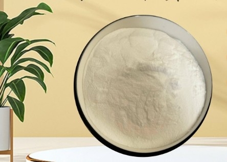 Good price CAS 90-80-2 E575 Glucono-Delta-Lactone GDL Powder For Bakery Dairy Meat Industry online