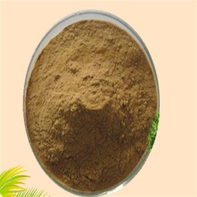 Good price CAS 84604-15-9 Serenoa Serrulata Fruit Extract ISO Factory Saw Palmetto Extract online