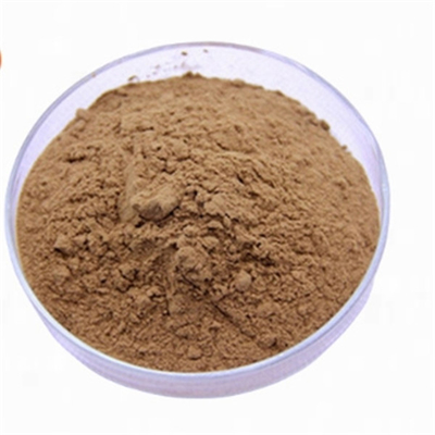 Good price CAS 90045-36-6 Antioxidants Ginkgo Biloba Leaf Extract online