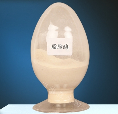 Good price Lipase Enzyme CAS 9001-62-1 for Lipid Metabolism 99% Purity online