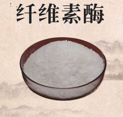 Good price Cellulase Enzyme CAS 9012-54-8 White Powder 99% Purity online