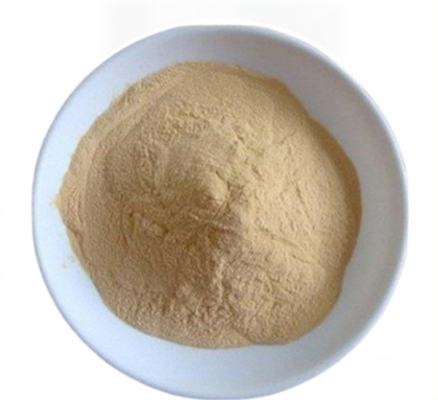 Good price CAS 8013-01-2 Flavor Enhancer Yeast Extract From Saccharomyces Cerevisiae online