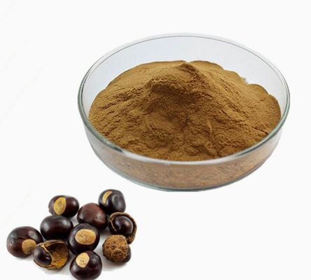 Good price CAS 8053-39-2 Aesculus Hippocastanum Seed Extract Anti-aging Cosmetics Horse Chestnut Extract online