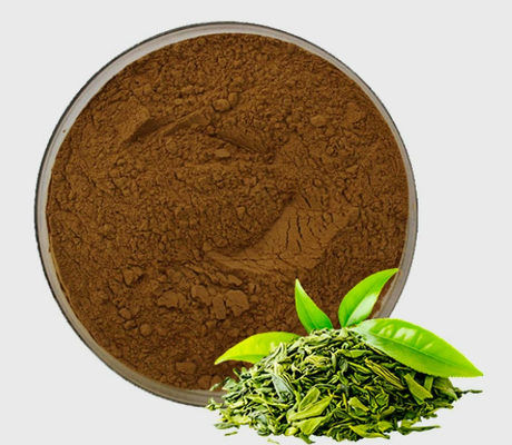 Good price Natural Green Tea Extract CAS 84650-60-2 Tea Polyphenol Powder Cosmetic Grade online