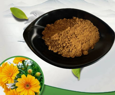 Good price Natural Calendula Officinalis Extract CAS 84776-23-8 Cosmetic Grade Powder online